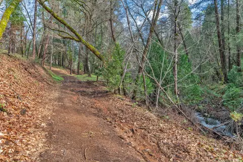 15 Old Vineyard, Placerville, CA 95667 photo 5
