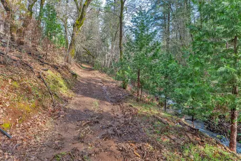 15 Old Vineyard, Placerville, CA 95667 photo 8