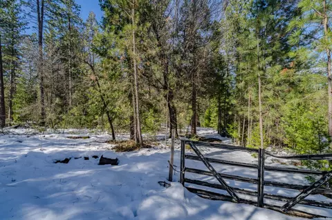4801 Blue Mountain Rd, Wilseyville, CA 95257