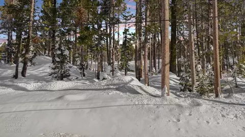 21864 Lotta Crabtree Ter, Soda Springs, CA 95728