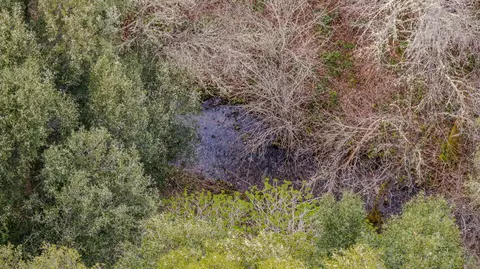 13890 Shake Ridge Rd, Sutter Creek, CA 95685 photo 58