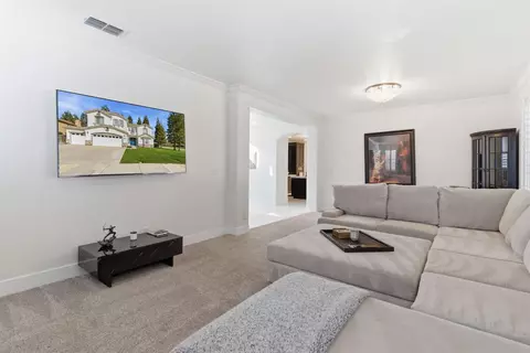 Other - 243 John Kamps Way, Ripon, CA 95366 photo 4 of 14