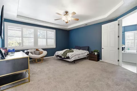 Bedroom - 243 John Kamps Way, Ripon, CA 95366 photo 3 of 3