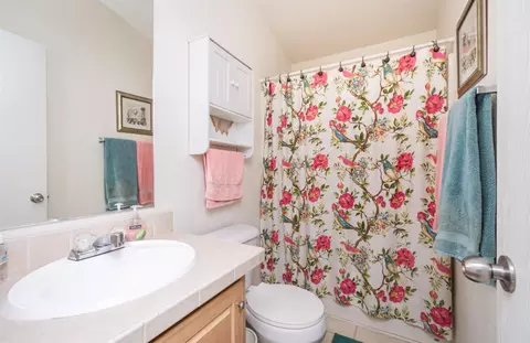 Bath - 10480 Lowell St, Elverta, CA 95626 photo 4 of 4