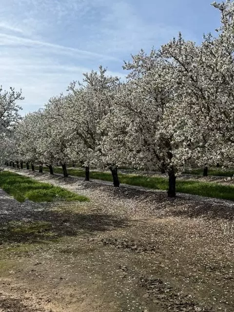 Other - 18413 Sycamore Ave, Patterson, CA 95363 photo 30 of 31