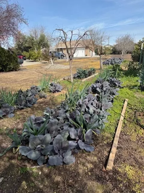Exterior - 18413 Sycamore Ave, Patterson, CA 95363 photo 24 of 25