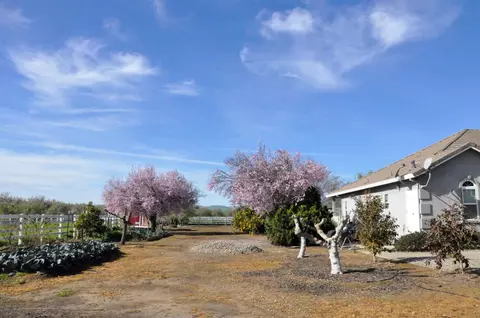 Exterior - 18413 Sycamore Ave, Patterson, CA 95363 photo 11 of 25