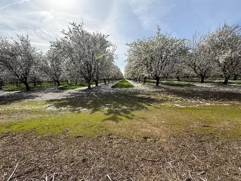 Other - 18413 Sycamore Ave, Patterson, CA 95363 photo 26 of 31