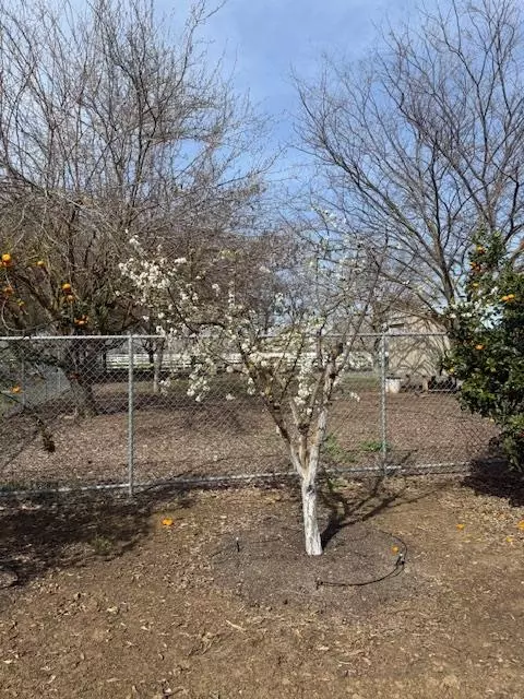 Other - 18413 Sycamore Ave, Patterson, CA 95363 photo 23 of 31