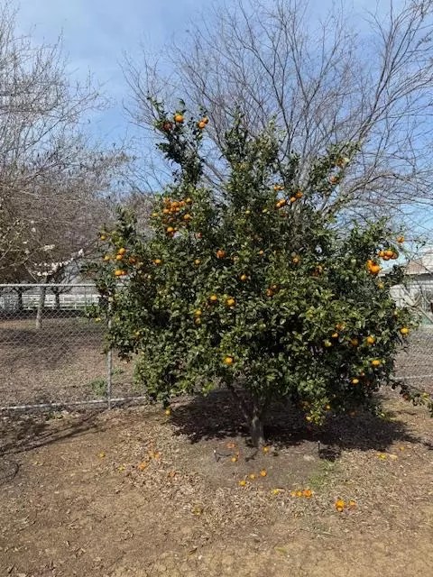 Other - 18413 Sycamore Ave, Patterson, CA 95363 photo 22 of 31