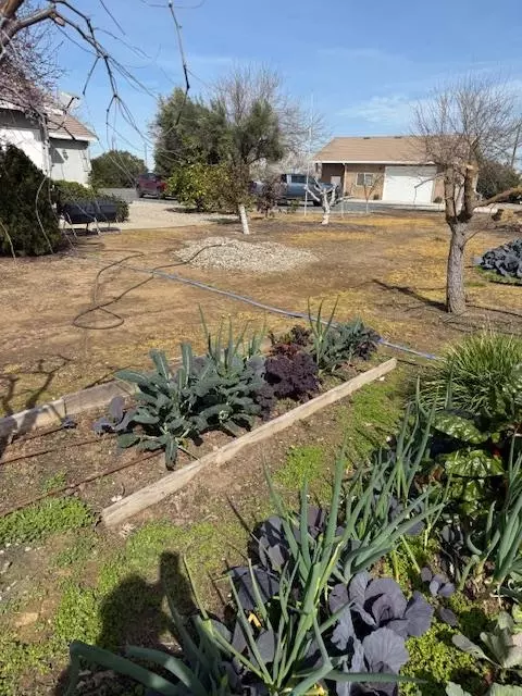 Exterior - 18413 Sycamore Ave, Patterson, CA 95363 photo 25 of 25