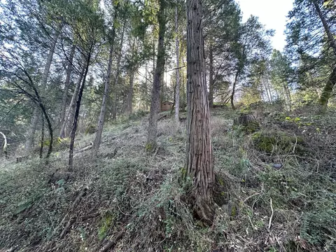 0 NE Treasure Rock Ln, Placerville, CA 95667 photo 6