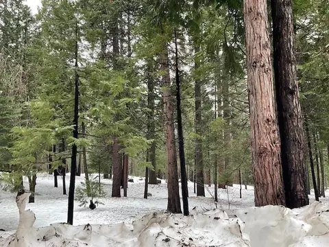 3065 Apache Rd, Arnold, CA 95223 photo 1