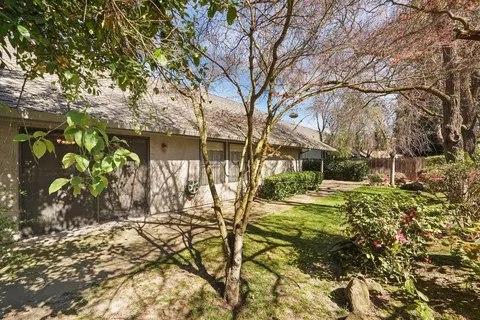 1560 Snapdragon Way, Manteca, CA 95336 photo 45