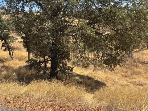 1122 Acorn St, Copperopolis, CA 95228 photo 7