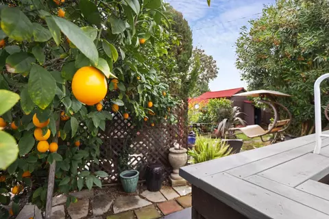 527 Cross St, Lodi, CA 95242 photo 37