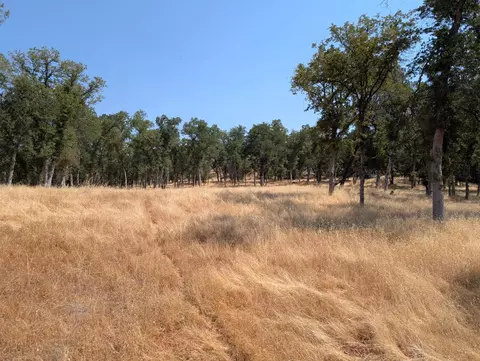18340 Henry D Ct, Sonora, CA 95270