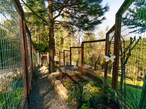Exterior - 3254 Clark St, Placerville, CA 95667 photo 5 of 20