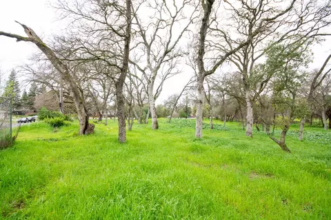4904 Manzanita Ave, Carmichael, CA 95608 photo 12