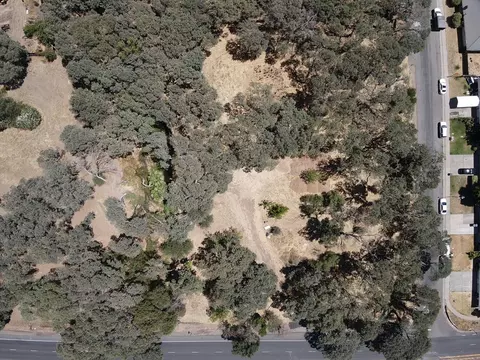 4904 Manzanita Ave, Carmichael, CA 95608 photo 22