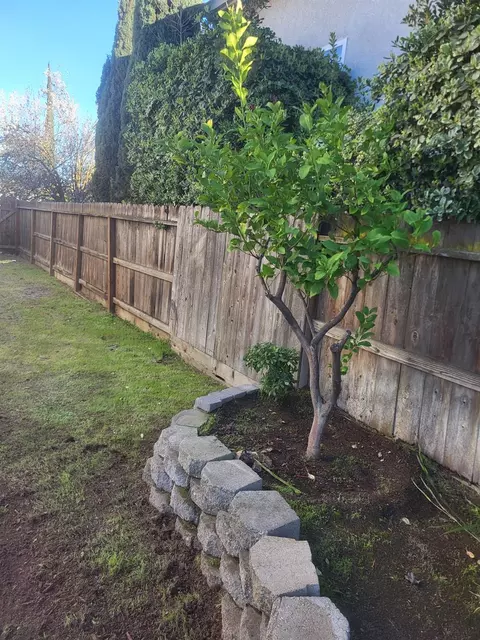 1709 Queensland Ave, Manteca, CA 95337 photo 7