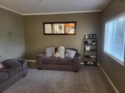 1709 Queensland Ave, Manteca, CA 95337 photo 34