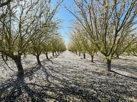 7520 W Howard Rd, Stockton, CA 95206