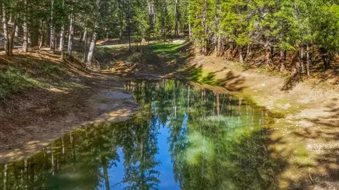 View/Area - 13999 Fifield Rd, Grass Valley, CA 95945 photo 2 of 2