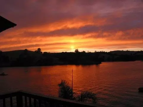4464 Moccasin Ct, Copperopolis, CA 95228 photo 20