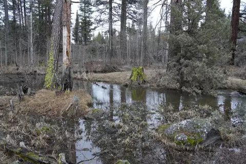 0 Old State Hwy, Macdoel, CA 96058