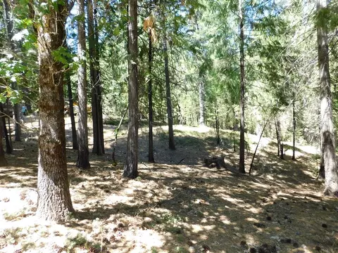 Exterior - 2059 Winton Rd, West Point, CA 95255 photo 28 of 31