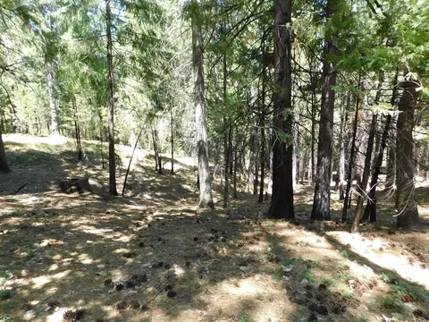 Exterior - 2059 Winton Rd, West Point, CA 95255 photo 27 of 31