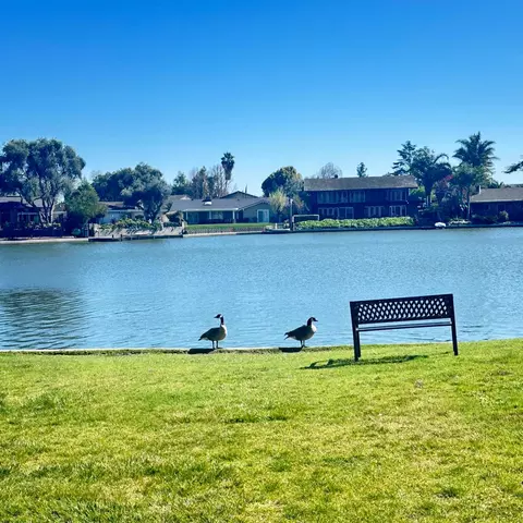 3768 W Benjamin Holt Dr #13, Stockton, CA 95219