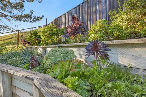 Exterior - 248 Carson St, Hercules, CA 94547 photo 13 of 22