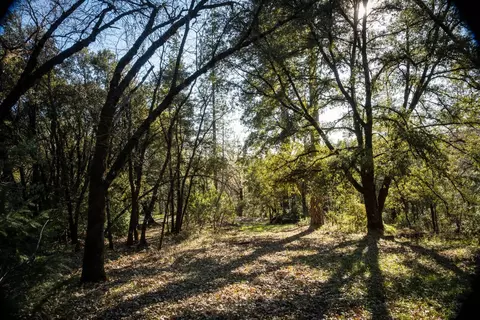 0 Buck Ridge Ct, Colfax, CA 95713