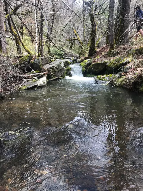 18488 Ponderosa Annex Rd, Sutter Creek, CA 95685