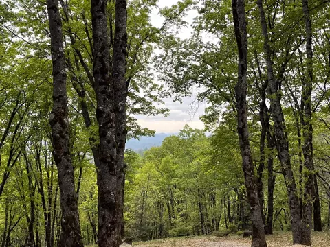 14437 Lightning Tree Rd, Nevada City, CA 95959
