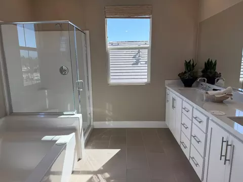 256 Birch Ranch Way, Patterson, CA 95363 photo 32