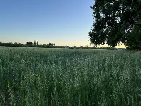 Other - 5136 Blaker Rd, Ceres, CA 95307 photo 11 of 13