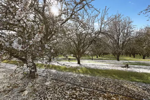 3320 W Durham Ferry Rd, Tracy, CA 95304 photo 76