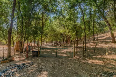 Exterior - 2988 Spring Hill Dr, San Andreas, CA 95249 photo 20 of 41