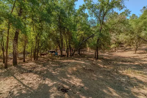 Exterior - 2988 Spring Hill Dr, San Andreas, CA 95249 photo 23 of 41