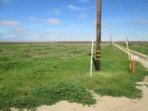18650 Eugenia Ave, Ripon, CA 95366 photo 6