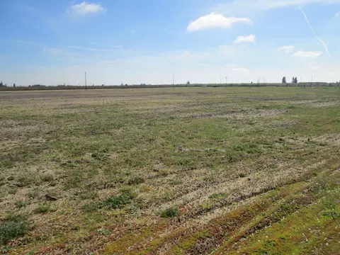18650 Eugenia Ave, Ripon, CA 95366 photo 2