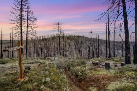 5308 Wooded Glen Rd, Grizzly Flats, CA 95636