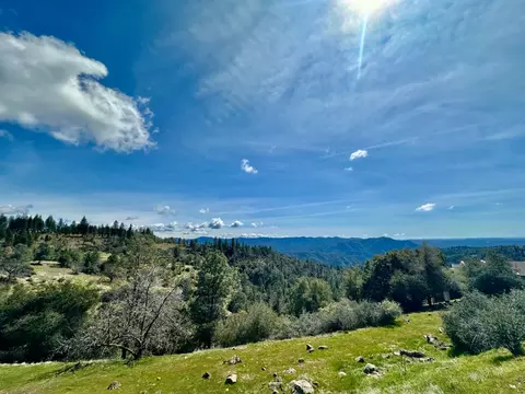 1146 Buckthorn Dr, Murphys, CA 95247