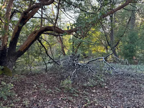 4110 Pine Mountain Rd, Foresthill, CA 95631 photo 8
