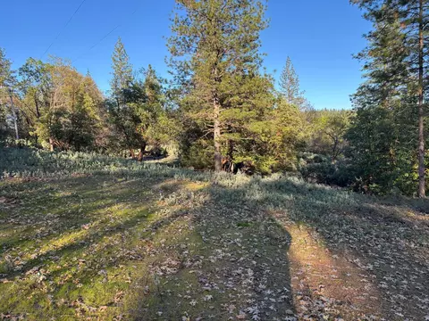4110 Pine Mountain Rd, Foresthill, CA 95631 photo 4