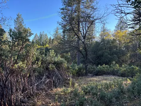 4110 Pine Mountain Rd, Foresthill, CA 95631 photo 9