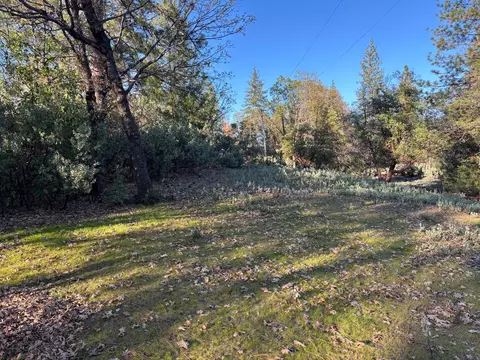 4110 Pine Mountain Rd, Foresthill, CA 95631 photo 5